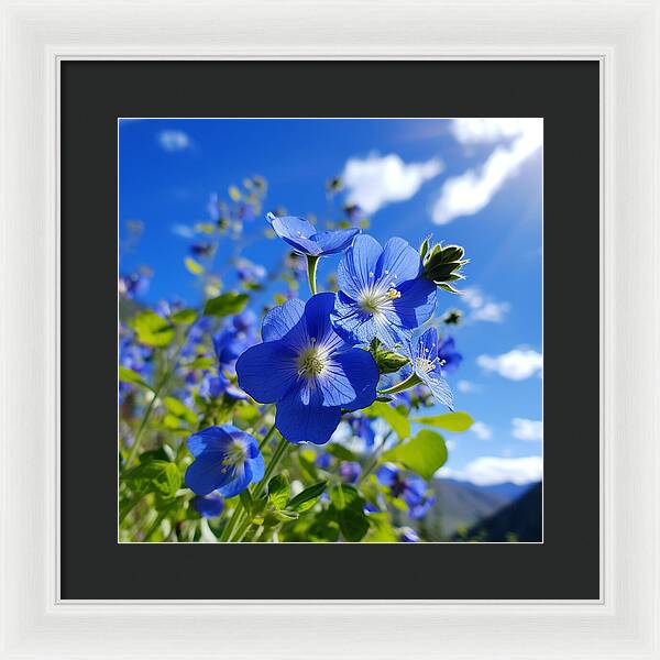 Blue Beauty - Framed Print