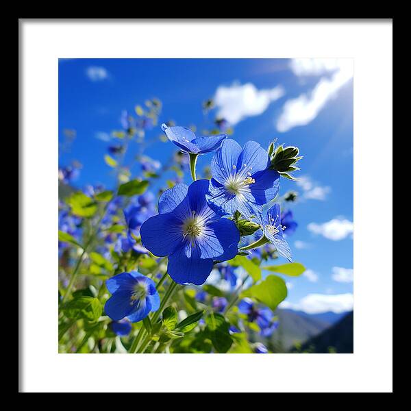 Blue Beauty - Framed Print