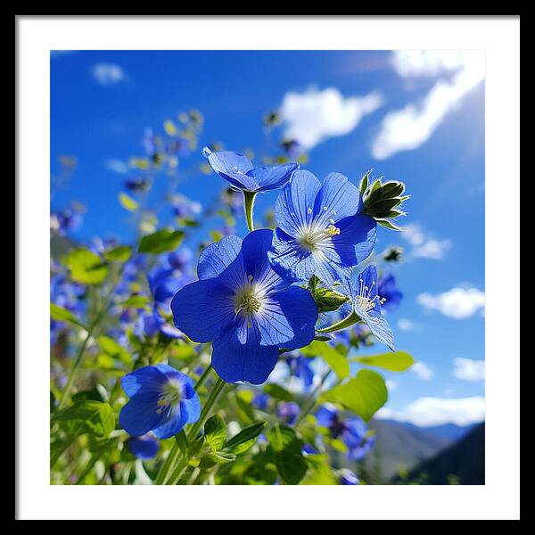 Blue Beauty - Framed Print