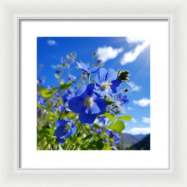 Blue Beauty - Framed Print