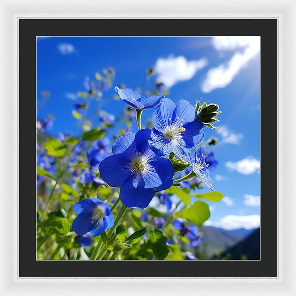 Blue Beauty - Framed Print