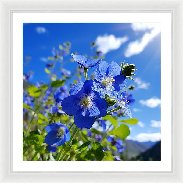 Blue Beauty - Framed Print