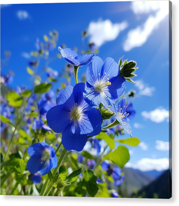 Blue Beauty - Acrylic Print