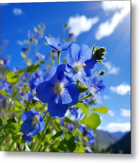 Blue Beauty - Metal Print