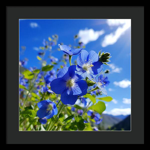 Blue Beauty - Framed Print