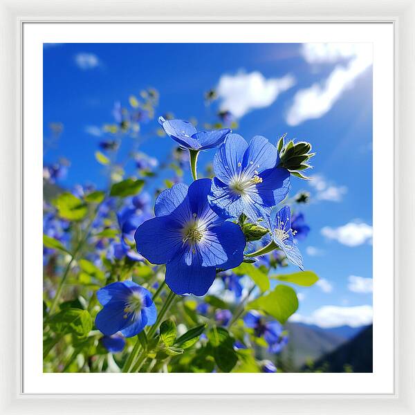 Blue Beauty - Framed Print
