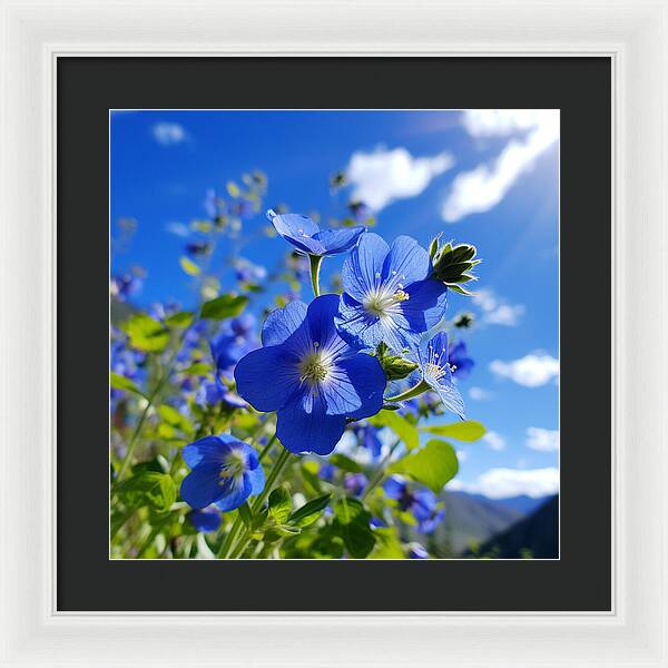 Blue Beauty - Framed Print