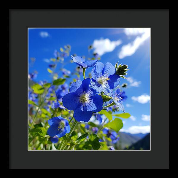 Blue Beauty - Framed Print