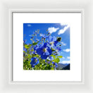 Switch Blue Beauty - Framed Print 3 image
