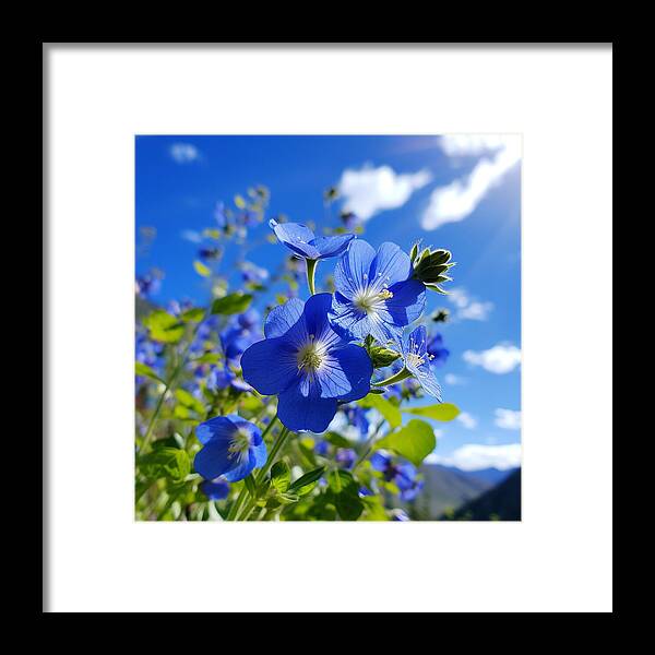 Blue Beauty - Framed Print
