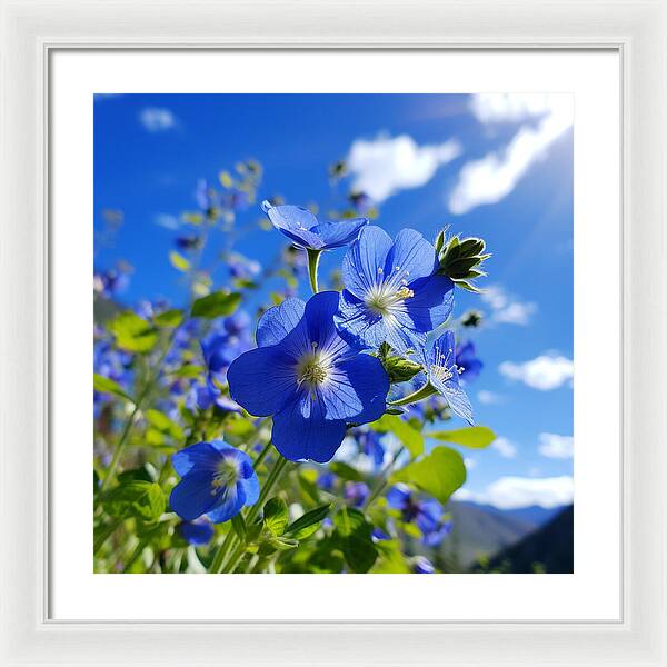 Blue Beauty - Framed Print