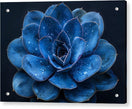 Switch Blue Serenity - Acrylic Print 2 image