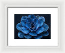 Switch Blue Serenity - Framed Print 3 image