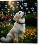 Switch Bubbly Sunshine - Canvas Print 2 image