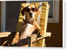Switch Canine Chillout - Canvas Print 3 image