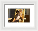 Switch Canine Chillout - Framed Print 3 image