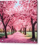 Switch Cherry Blossom Walk - Acrylic Print 2 image