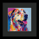 Switch Colorful K9 - Framed Print 2 image