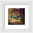 Switch Dappled Light - Framed Print 3 image