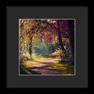 Switch Dappled Light - Framed Print 2 image