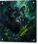 Switch Emerald Shadows - Acrylic Print 2 image