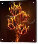 Switch Fire Petals - Acrylic Print 2 image