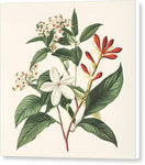 Switch Floral Simplicity - Canvas Print 3 image