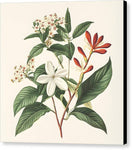 Switch Floral Simplicity - Canvas Print 2 image