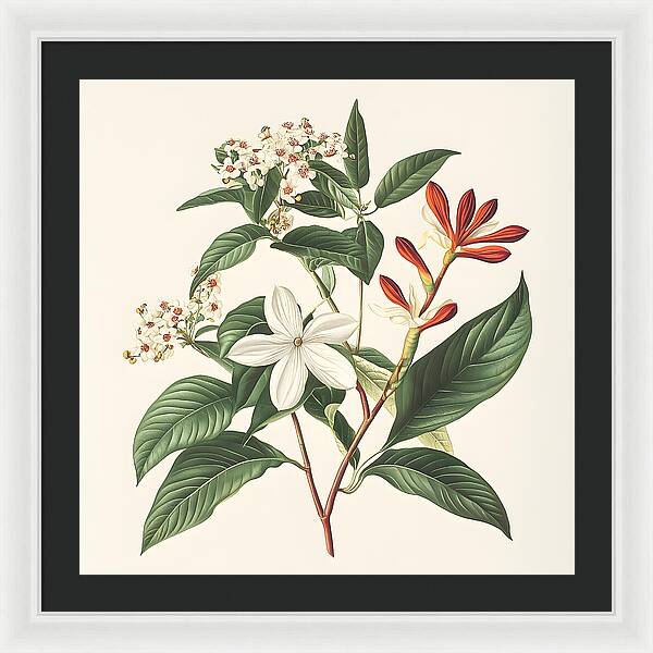 Floral Simplicity - Framed Print