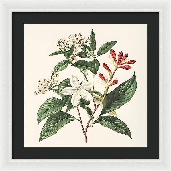 Floral Simplicity - Framed Print