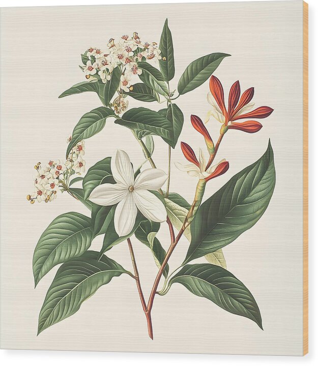 Floral Simplicity - Wood Print