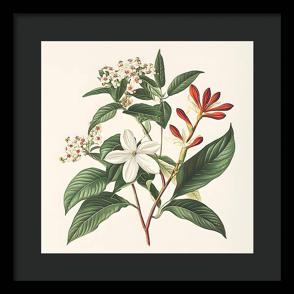 Floral Simplicity - Framed Print