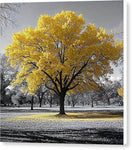 Switch Golden Glow - Canvas Print 3 image