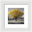 Switch Golden Glow - Framed Print 3 image