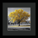 Switch Golden Glow - Framed Print 2 image