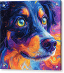 Switch K9 Kaleidoscope - Acrylic Print 2 image