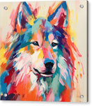 Switch Mystic Husky - Acrylic Print 2 image