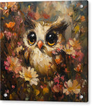 Switch Owl in Bloom - Acrylic Print 2 image