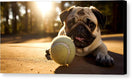 Switch Playful Pugshine - Canvas Print 2 image