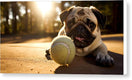 Switch Playful Pugshine - Canvas Print 3 image