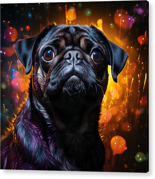 Pug Passion - Acrylic Print