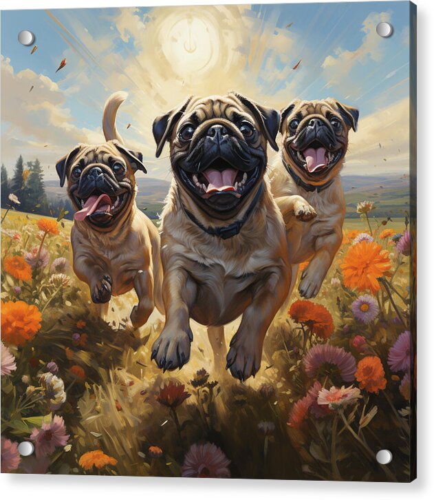 Pug Power - Acrylic Print
