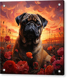 Switch Pugs and Roses - Acrylic Print 2 image