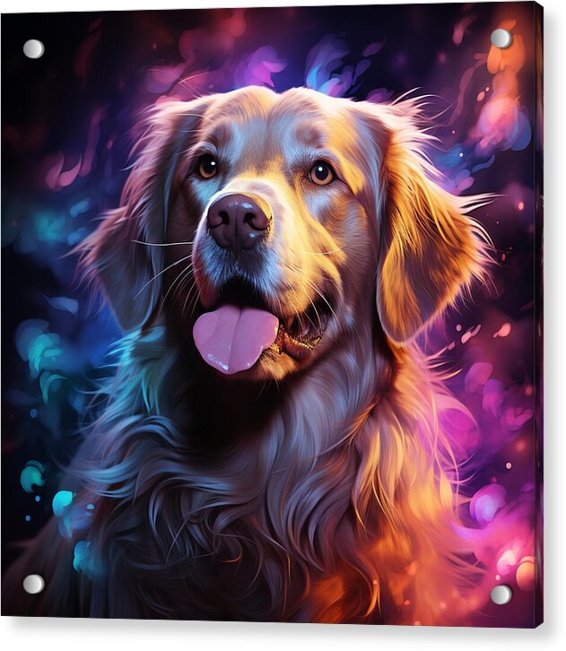 Radiant Retriever - Acrylic Print