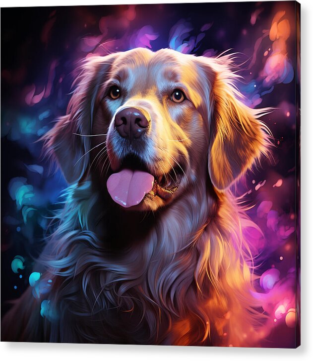 Radiant Retriever - Acrylic Print