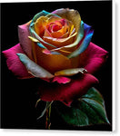 Switch Rainbow Petals - Canvas Print 3 image