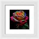 Switch Rainbow Petals - Framed Print 3 image