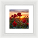 Switch Rosy Horizon - Framed Print 3 image