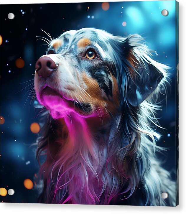 Ruff Radiance - Acrylic Print