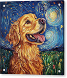 Switch Starry Gaze - Acrylic Print 2 image